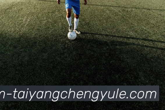 太阳城平台全站App 太阳城平台全站App